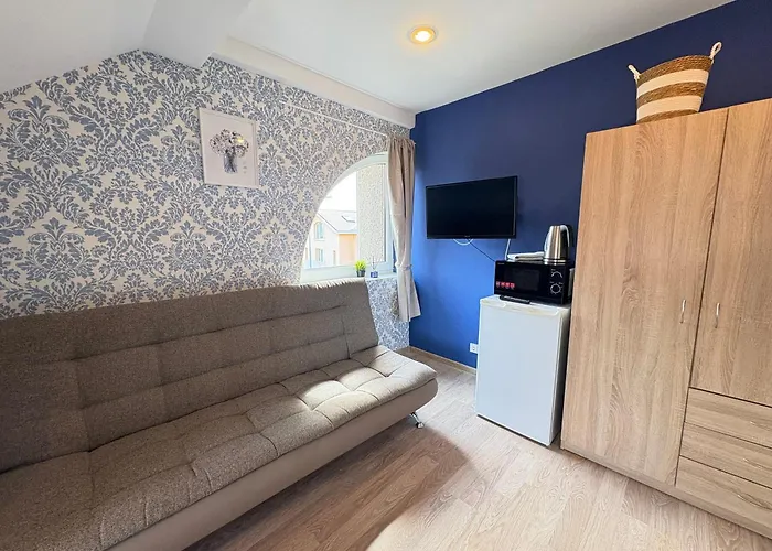 Classic Blue Studio-palanga Center, Private Bathroom No 31 *