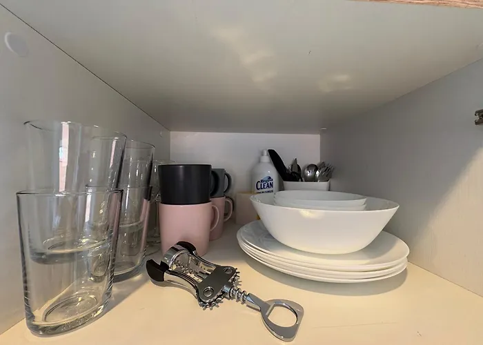 Classic Blue Studio-palanga Center, Private Bathroom No 31 *