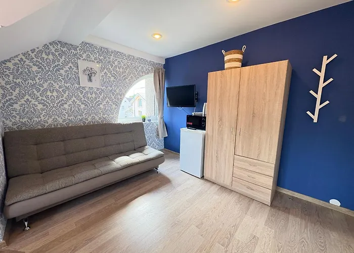 Classic Blue Studio-palanga Center, Private Bathroom No 31 Апартаменти *