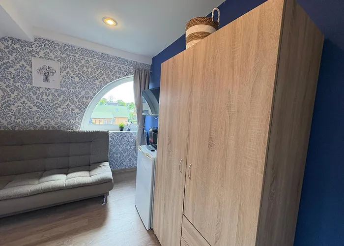 Classic Blue Studio-palanga Center, Private Bathroom No 31 *